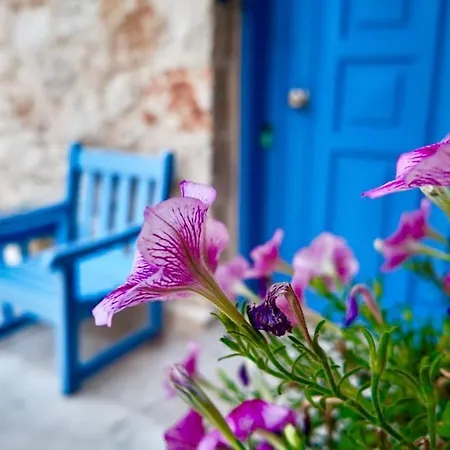 Daire Kalkan Kalamar Sea Side In Center Villa Apart 4 Person